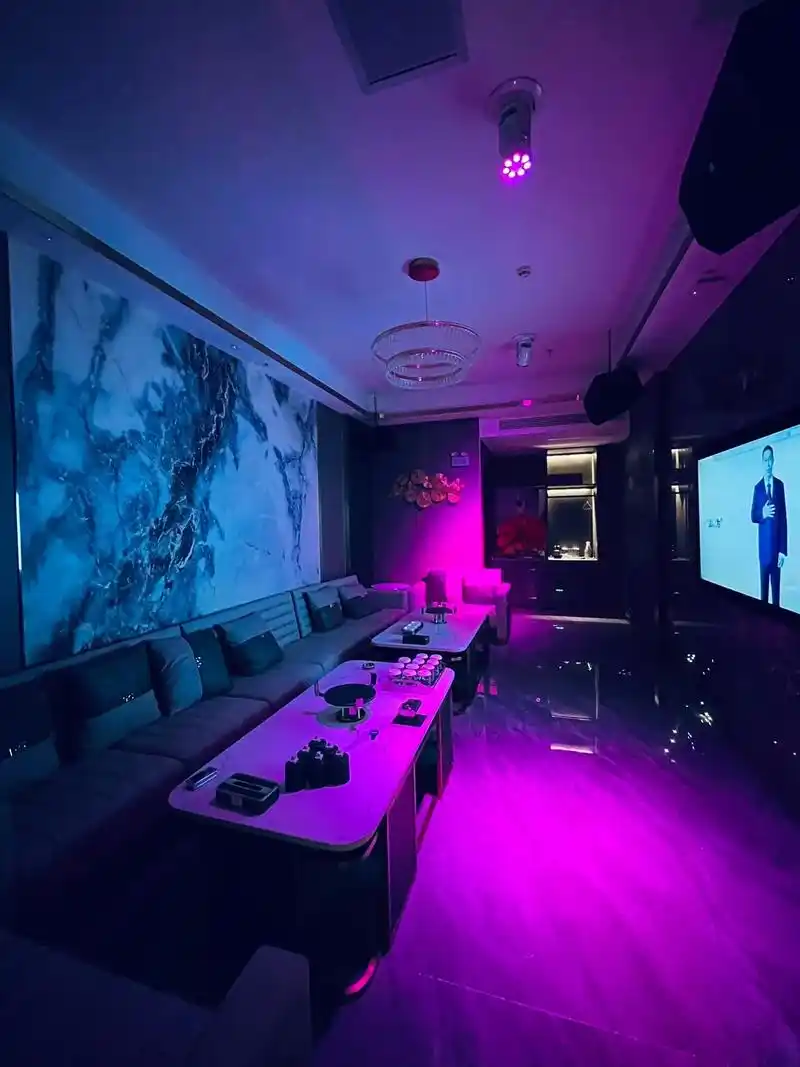 南充商务ktv攻略-西充县ktv预订